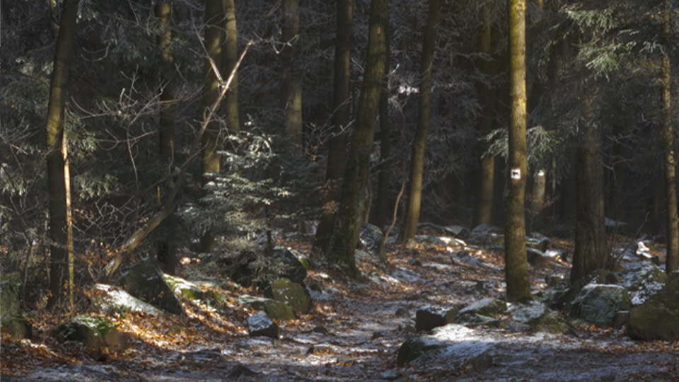 Relacja ze ŚWiRowania